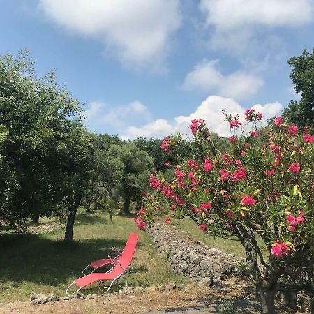 Villa Du Sud Vence Εξωτερικό φωτογραφία