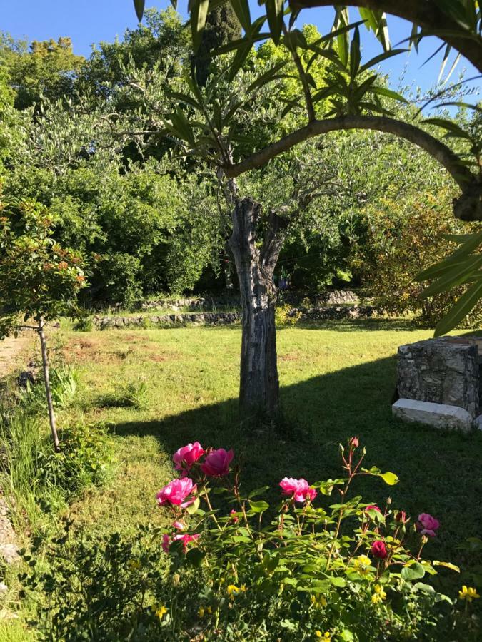Villa Du Sud Vence Εξωτερικό φωτογραφία