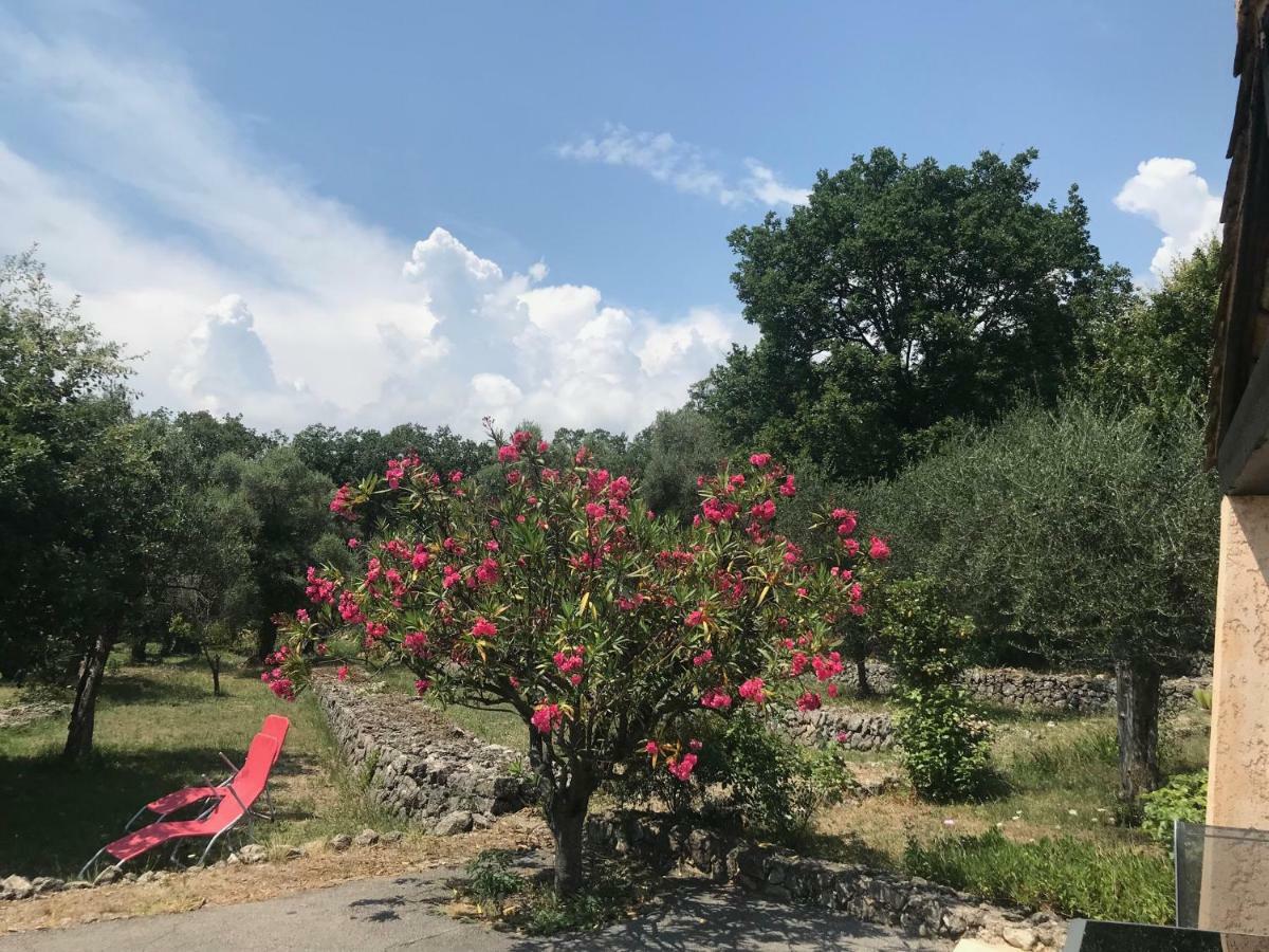 Villa Du Sud Vence Εξωτερικό φωτογραφία