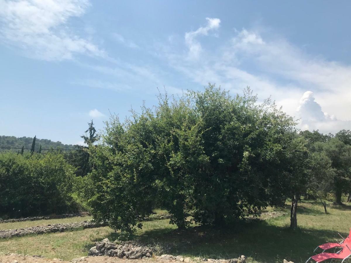 Villa Du Sud Vence Εξωτερικό φωτογραφία