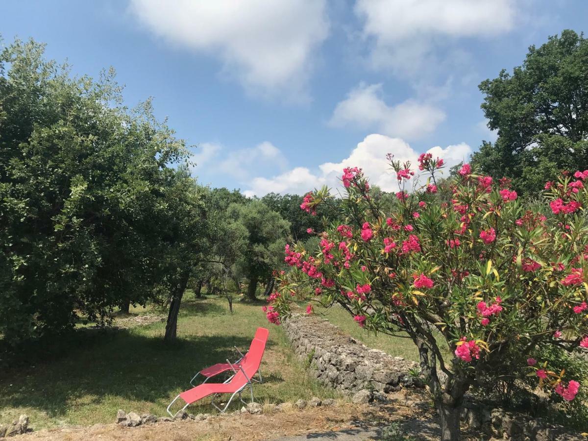 Villa Du Sud Vence Εξωτερικό φωτογραφία